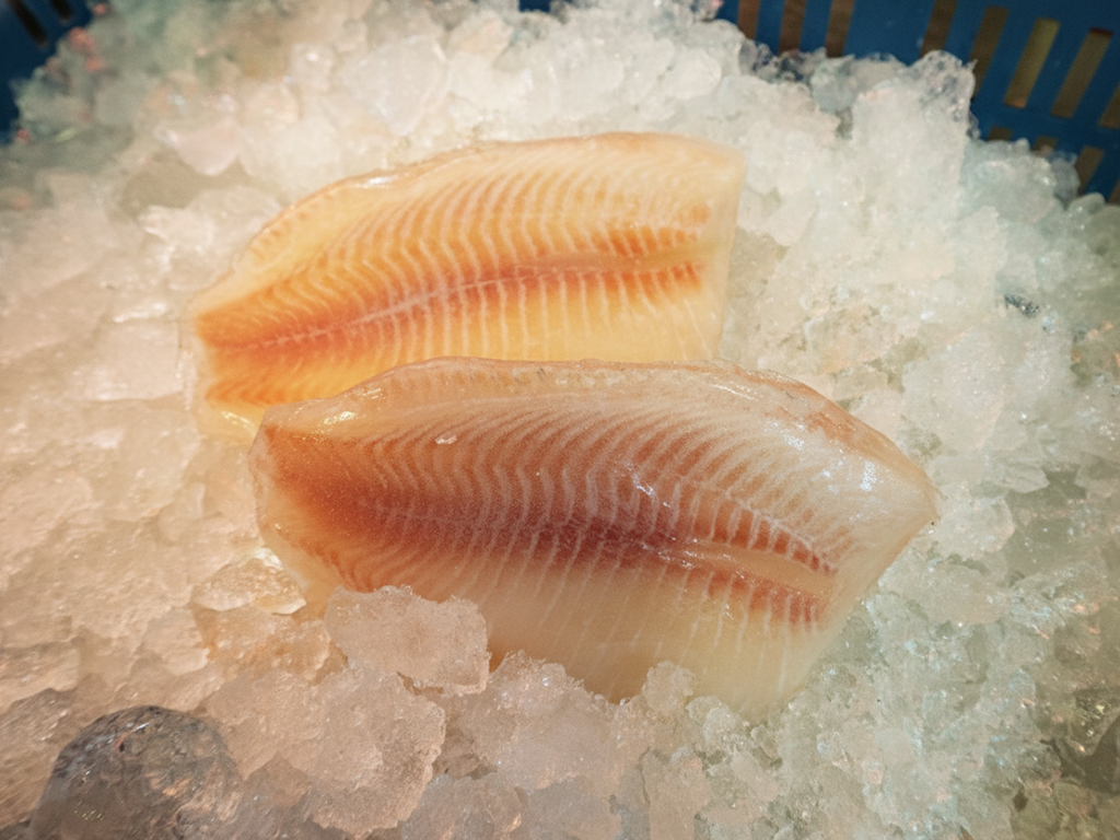 Filete de Tilapia